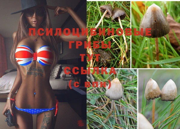 каннабис Арсеньев