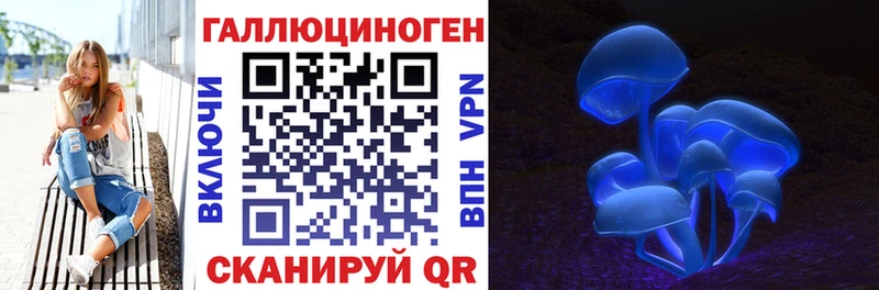 omg как зайти  Шиханы  Галлюциногенные грибы GOLDEN TEACHER 
